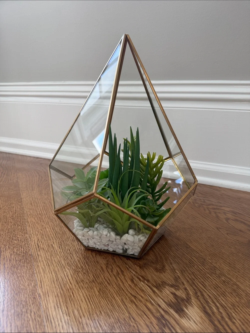 Gold Glass Geometric Terrarium with Green Succulent Arrangement